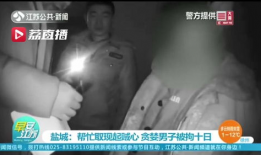 尹人在线观看视频,揭秘神秘人物背后的故事